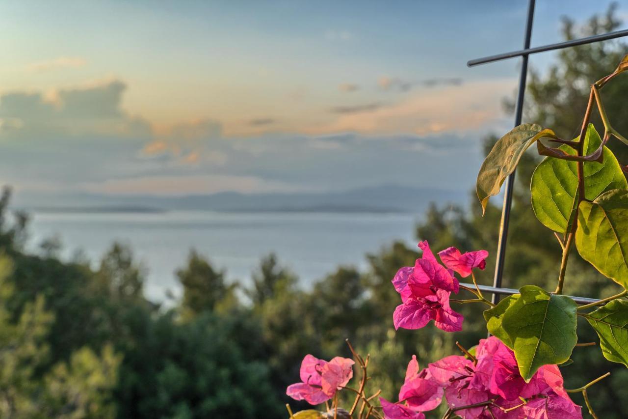 Holiday House Sunset Haven Estate スティヴァン エクステリア 写真